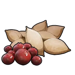 Berry Seeds item icon in Palworld