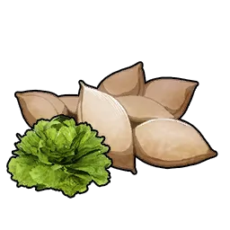 Lettuce Seeds item icon in Palworld