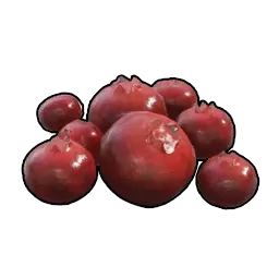 Red Berries item icon in Palworld