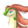 Broncherry, a grass Pal