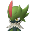 Robinquill, a grass Pal